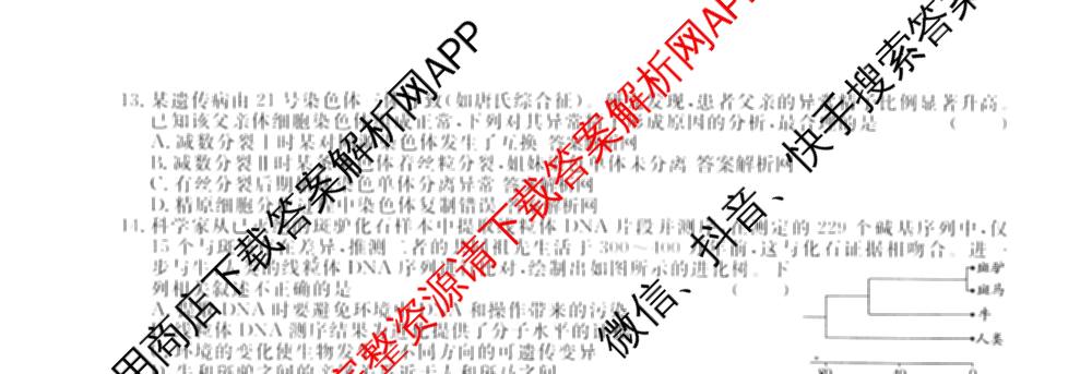 名校联考2026届高三总复月考卷(二)2各科答案及试卷(含语文(XS6G) 化学(XS6J) 历史(XS6J)等)生物试题 名校联考2026届高三总复月考卷(二)2各科答案及试卷(含语文(XS6G) 化学(XS6J) 历史(XS6J)等)生物试题