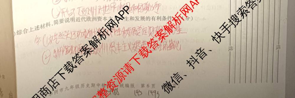 陕西省渭南市华阴市2025-2026学年度第一学期期中检测九年级[试卷类型A]各科答案及试卷（含数学(人教版) 化学(人教版) 历史(统编版)等7份）历史试题