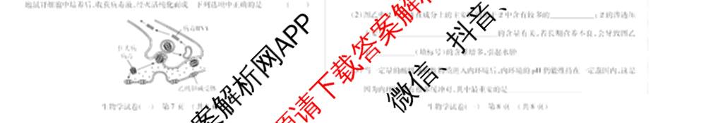 黑龙江省新时代高中教育联合体2025-2026学年高二上期中联考巩固卷(一)（11科全）生物试题