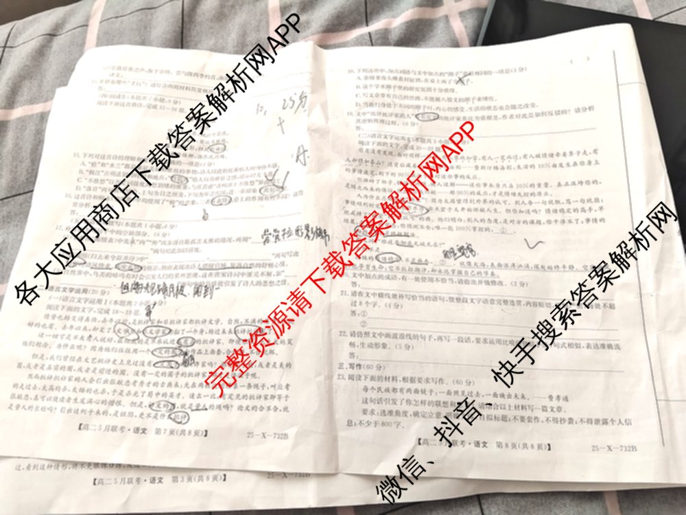 [安徽县中联盟]2024~2025学年度第二学期高二5月联考(25-X-732B)（含历史 数学(A卷) 化学(A卷)等）语文试题