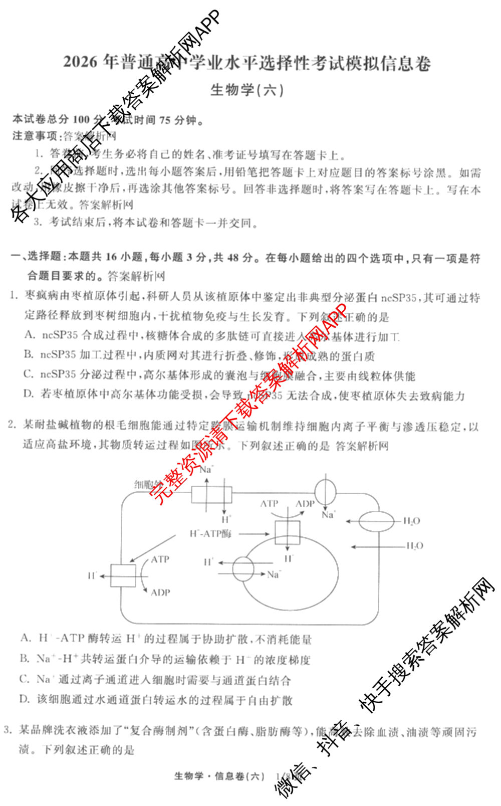 天舟高考衡中同卷2026年普通高等学校招生全国统一考试模拟信息卷(六)6（含化学(山东版)、政治(DB)、物理(山东版)等35份）生物试题