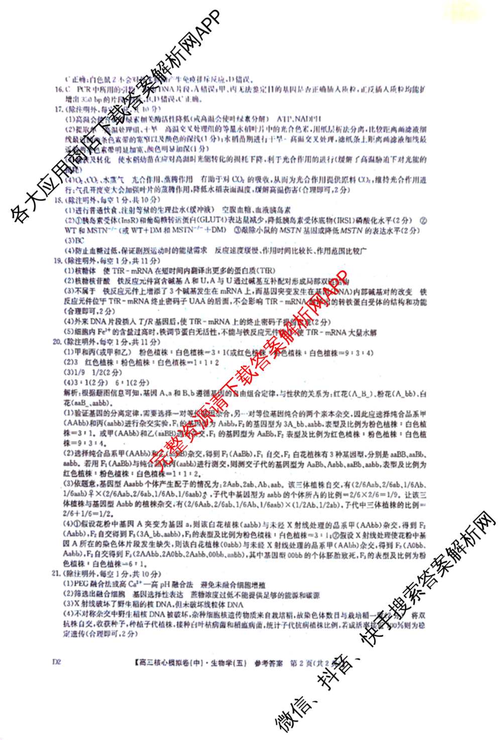 九师联盟2025~2026学年高三核心模拟卷(中)(五)（含化学(D1)、历史(D2)、政治(B)等）生物答案