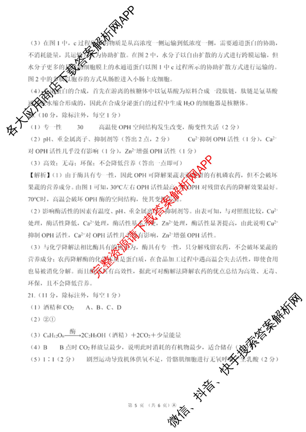 百师联盟2025-2026学年高一年级12月阶段检测试卷及答案汇总(已更新语文 政治 英语等11份)生物答案