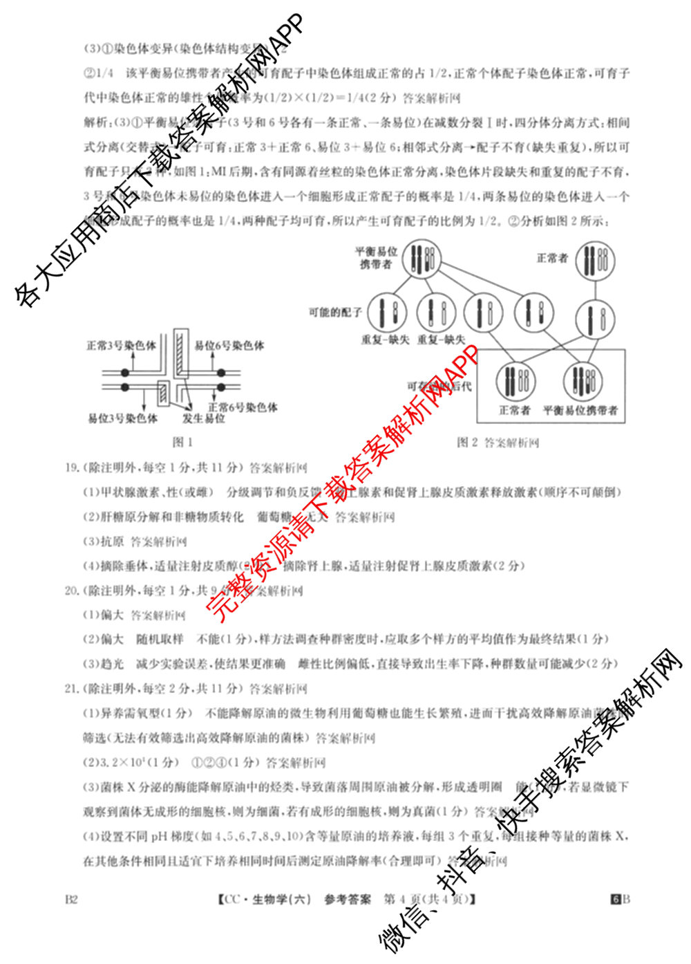 2026年全国高考冲刺压轴卷(六)6各科答案及试卷（含生物(B2) 历史(广西) 语文等）生物答案