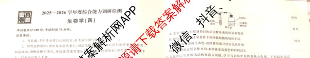 衡水真题密卷2025-2026学年度综合能力调研检测(四)4试卷及答案汇总: 含数学(A)、物理(1)、生物(1)试卷解析生物试题