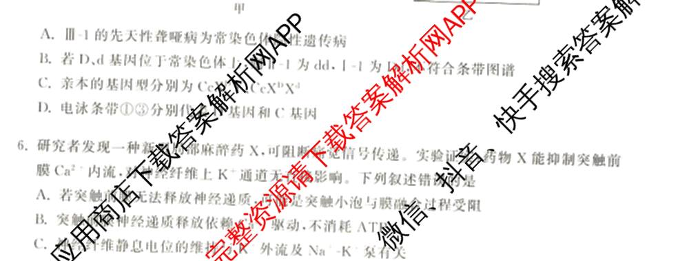 天舟高考衡中同卷2026年普通高等学校招生全国统一考试模拟信息卷(六)6试卷及答案汇总: 含化学(山东版) 英语(通用版) 生物(WY)试卷解析生物试题