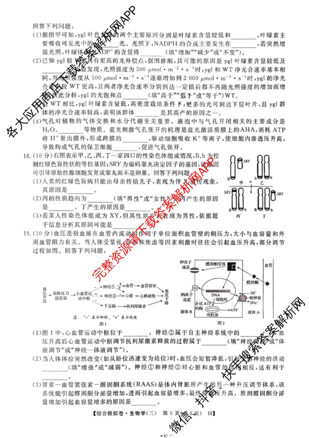 2026普通高等学校招生全国统一考试综合模拟卷(三)3各科答案及试卷（含地理(F)、化学(B)、生物(B)等）生物试题