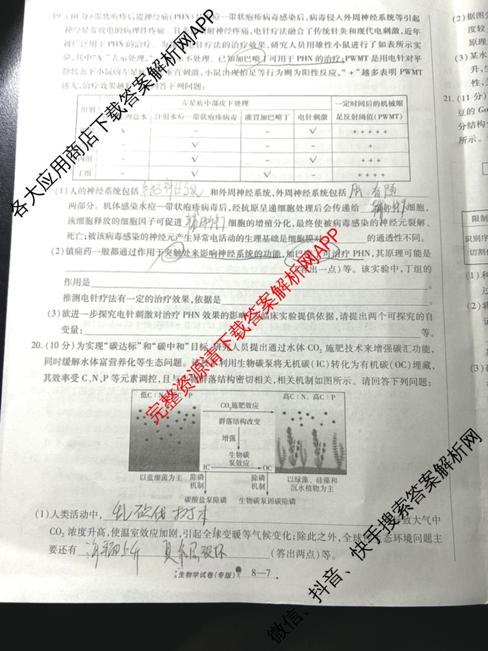 天一大联考2026届高考全真模拟卷(八)8（含生物(专版)、历史(专版)、政治(安徽专版)等）生物试题