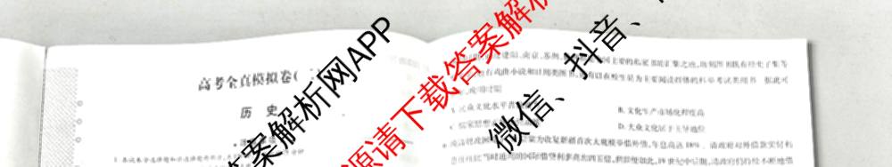 天一大联考2026届高考全真模拟卷(二)2试卷及答案汇总（含政治(湖南专版)、物理(山西专版)、生物(安徽专版)等）历史试题