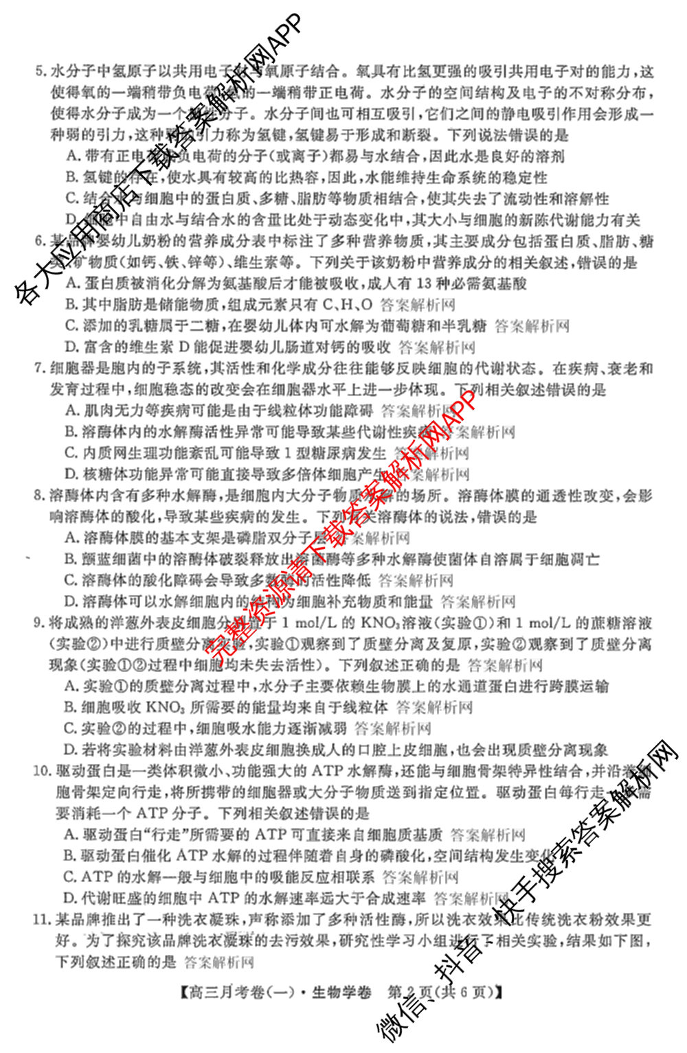 2026届名校大联盟高三月考卷(一)（9科全）生物试题