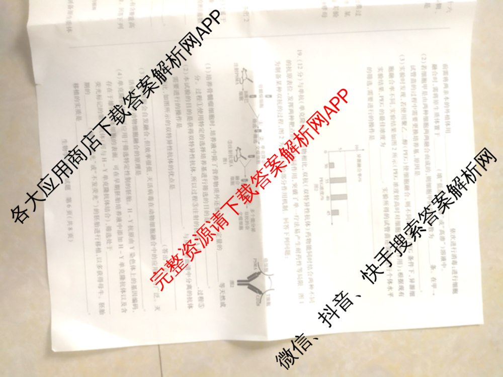 天一大联考2024-2025学年(下)高二年级期中考试各科答案及试卷(已更新数学(北师大版)、政治(B卷)、数学等13份)生物试题