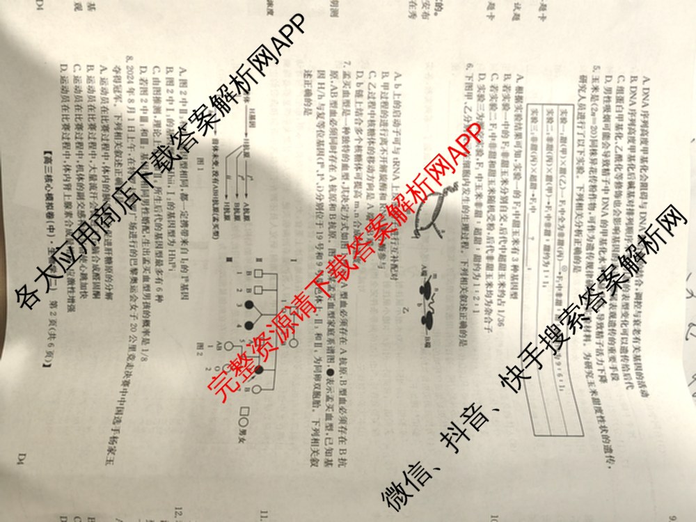 九师联盟2024~2025学年高三核心模拟卷(中)(二)2各科答案及试卷: 含政治(JX) 生物(D1) 生物(HB)试卷解析生物试题