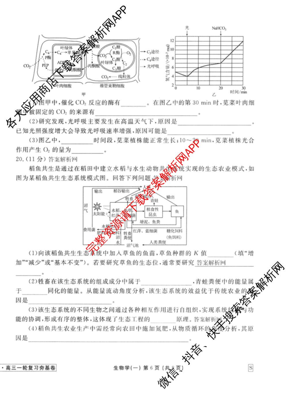 衡水金卷先享题夯基卷 2026年普通高等学校招生全国统一考试模拟 (一)1试卷及答案汇总: 含政治、物理(Q)、地理(MH)试卷解析生物试题