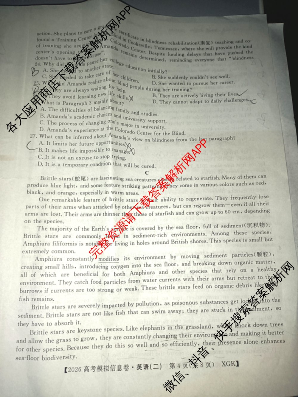 2026年普通高等学校招生全国统一考试模拟信息卷(二)2(已更新政治(XGK-A)、物理(XGK-B)、语文(XGK-A)等13份)英语试题