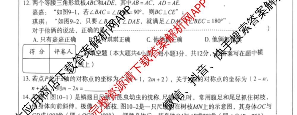 2025-2026学年第一学期阶段性学业检测二八年级: 含语文(部编版)、语文、历史(部编版)试卷解析数学试题