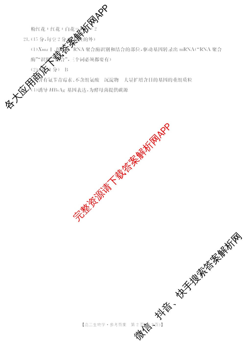 广西2026届高三10月考试(含生物、历史、化学等)生物答案 广西2026届高三10月考试(含生物、历史、化学等)生物答案