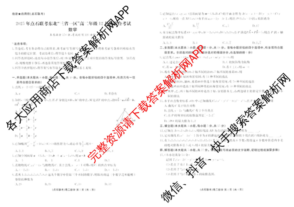 2025年点石联考东北