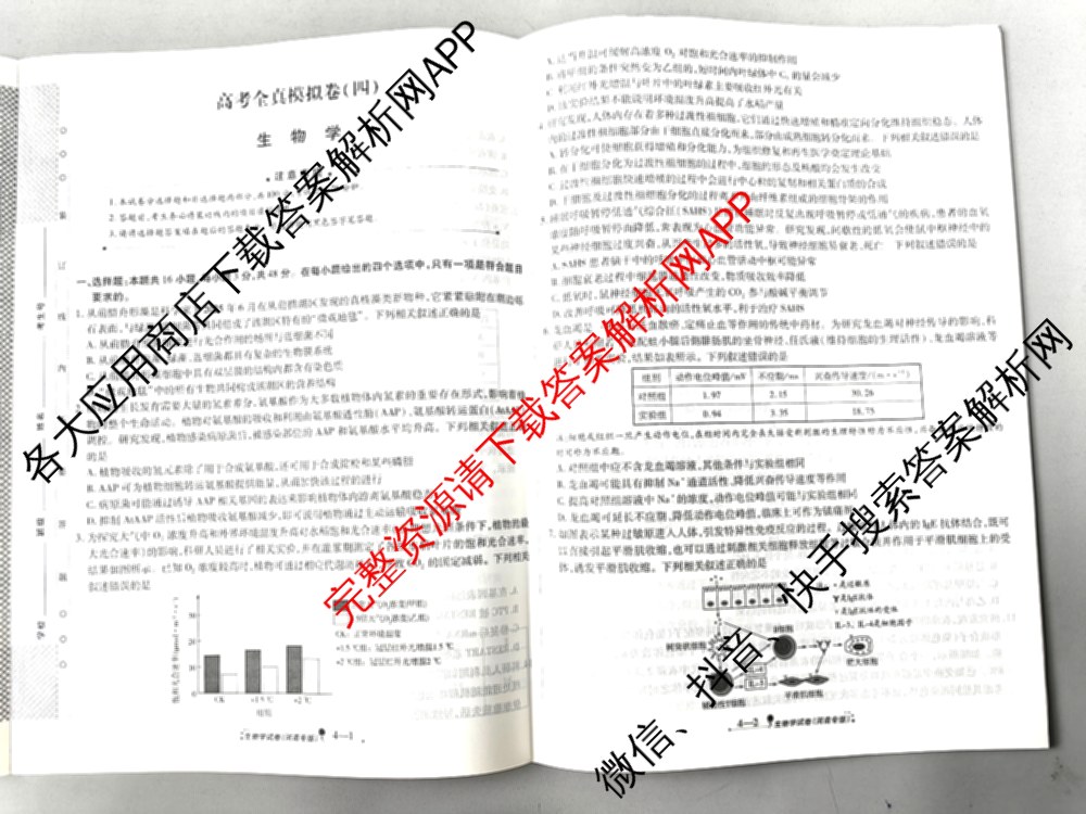 天一大联考2026届高考全真模拟卷(四)4试卷及答案汇总（含化学(甘肃专版)、政治(陕西专版)、物理(安徽专版)等49份）生物试题