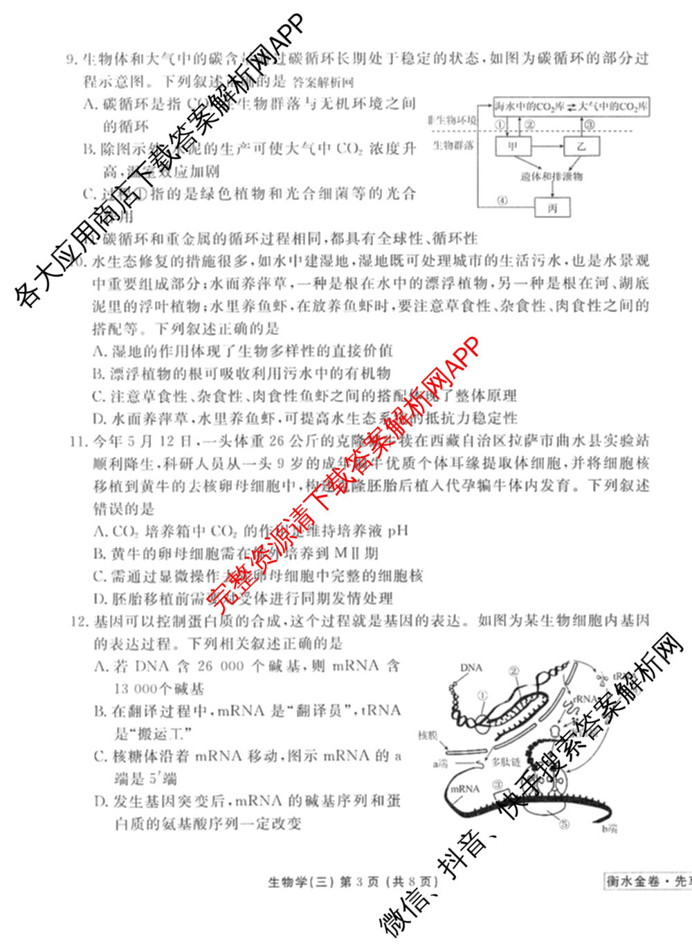 衡水金卷先享题调研卷2026年普通高等学校招生全国统一考试模拟试题(三)3各科答案及试卷(已更新化学(山东专版)、历史(HN)、文综(新教材)等91份)生物试题