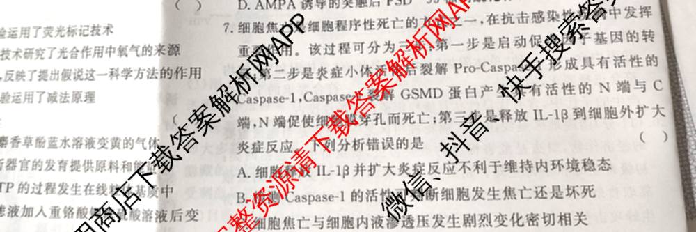 2026高考总复课堂测评 信息冲刺压轴训练(三)3各科答案及试卷: 含化学、文综(新A)、物理(4)试卷解析生物试题