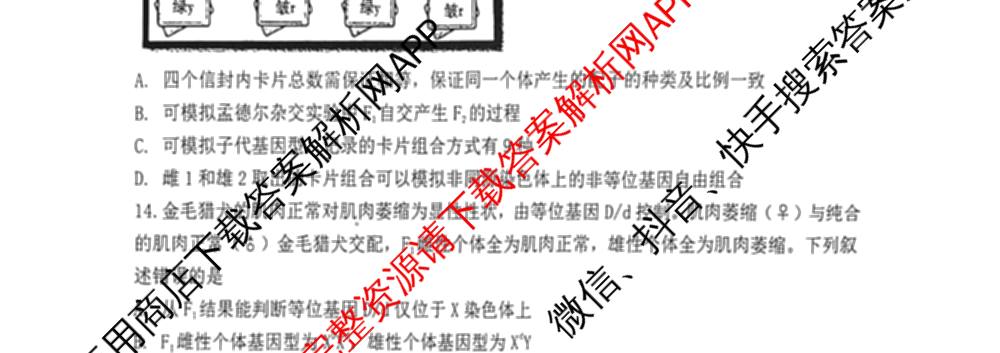 辽宁省渤海大学附属高级中学2025-2026学年度第一学期第一次阶段性考试高三各科答案及试卷（含历史 英语 生物等9份）生物试题
