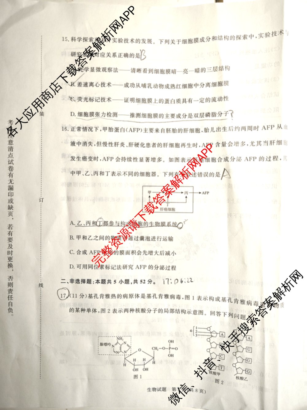 青桐鸣2028届普通高等学校招生全国统一考试青桐鸣大联考(高一)(11.17)各科答案及试卷: 含物理 生物 语文试卷解析生物试题
