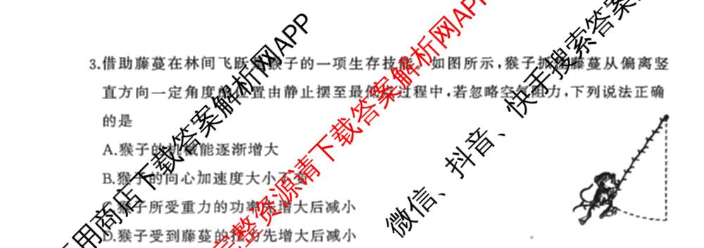 湖北省2025年秋季黄冈市部分高中高三年级期中考试试卷及答案汇总: 含数学、化学、历史试卷解析物理试题
