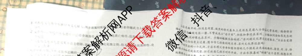 百万联考云南省2026届高三11月考试(11.27)[YN]各科答案及试卷（含地理(C1)、物理(C2)、生物(C1)等）语文试题