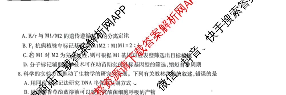 云南民族大学附属高级中学2026届高三联考卷(四)各科答案及试卷(已更新数学 物理 生物等9份)生物试题