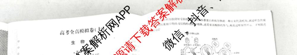 天一大联考2026届高考全真模拟卷(七)7试卷及答案汇总: 含物理(湖南专版) 化学(专版) 物理(山西专版)试卷解析生物试题