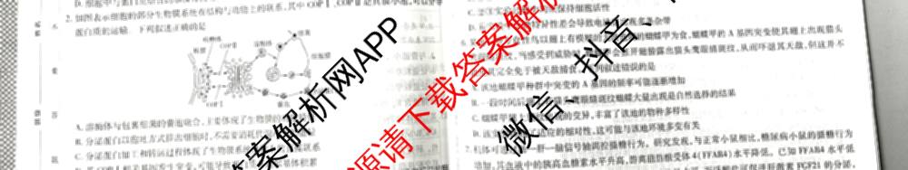 天一大联考2026届高考全真模拟卷(七)7试卷及答案汇总: 含物理(湖南专版) 化学(专版) 物理(山西专版)试卷解析生物试题