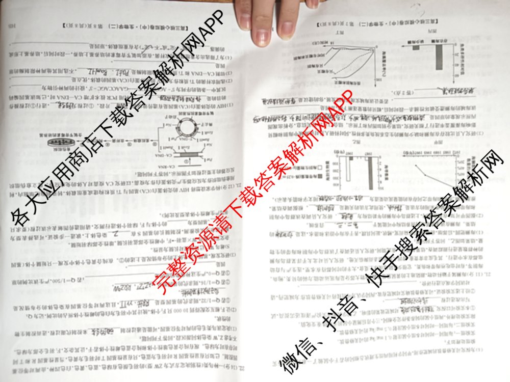 九师联盟2024~2025学年高三核心模拟卷(中)(二)2各科答案及试卷: 含政治(JX) 生物(D1) 生物(HB)试卷解析生物试题