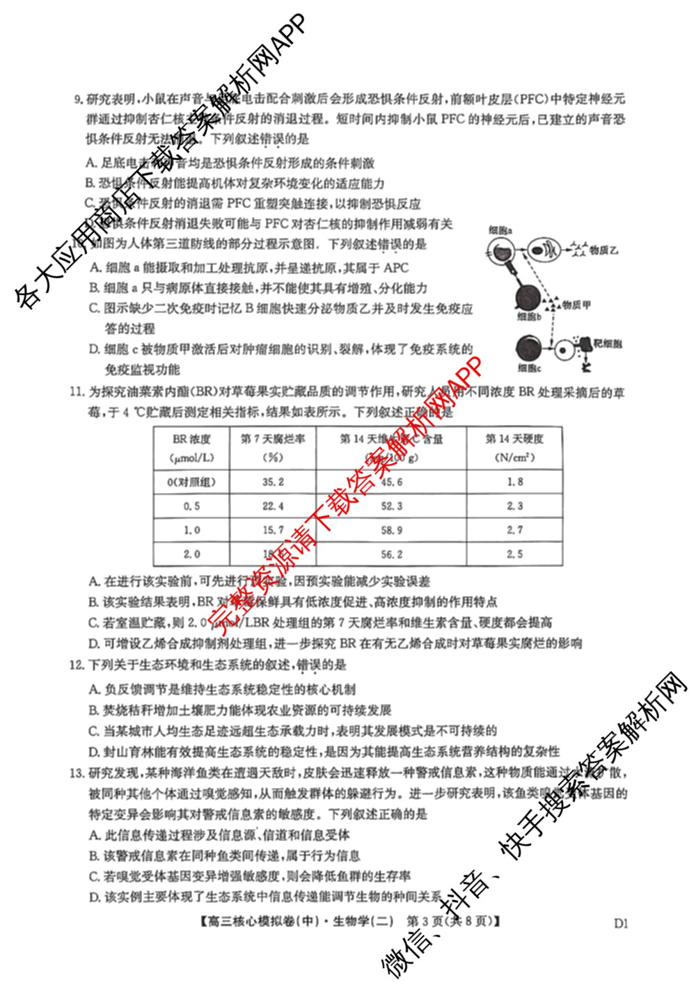 九师联盟2025~2026学年高三核心模拟卷(中)(二)试卷及答案汇总（含历史(A1)、物理(A)、物理(D1)等）生物试题