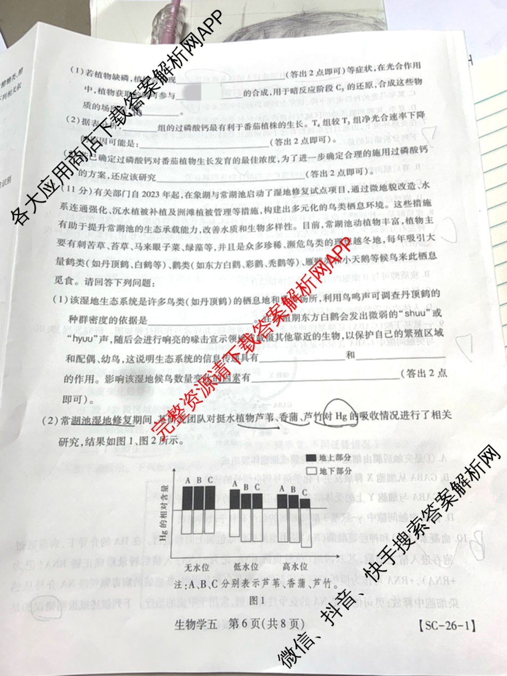 2026届智慧上进名校学术联盟高考模拟信息卷&冲刺卷&预测卷(五)5各科答案及试卷: 含历史(SC-26-1) 物理(II-26-1) 生物(HB-26-1)试卷解析生物试题