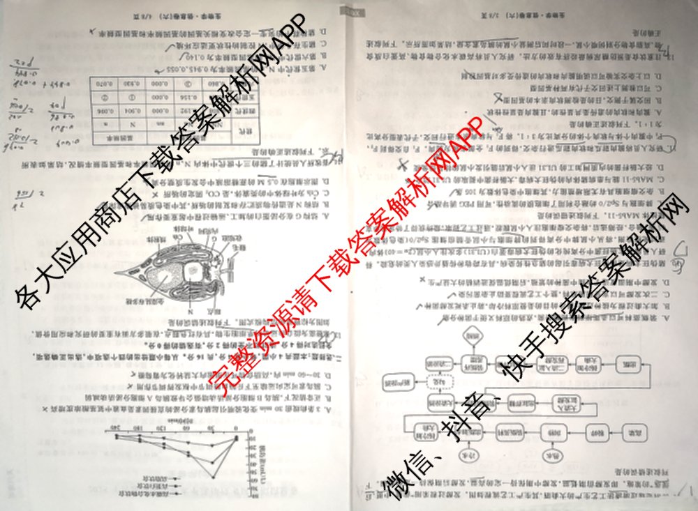 天舟高考衡中同卷2025年普通高等学校招生全国统一考试模拟信息卷(六)6（含数学(A) 理综(XJ专版) 语文(A)等）生物试题