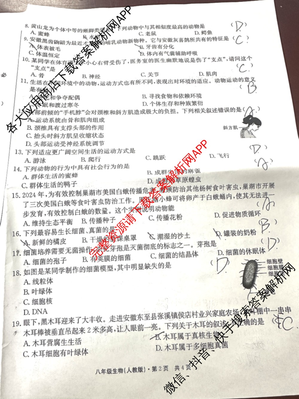 [页脚黑体八年级科目名称]安徽省2024-2025八年级1月无标题考试(江淮名卷)试卷及答案汇总(已更新历史 物理(沪科版) 英语(人教版)等18份)生物试题