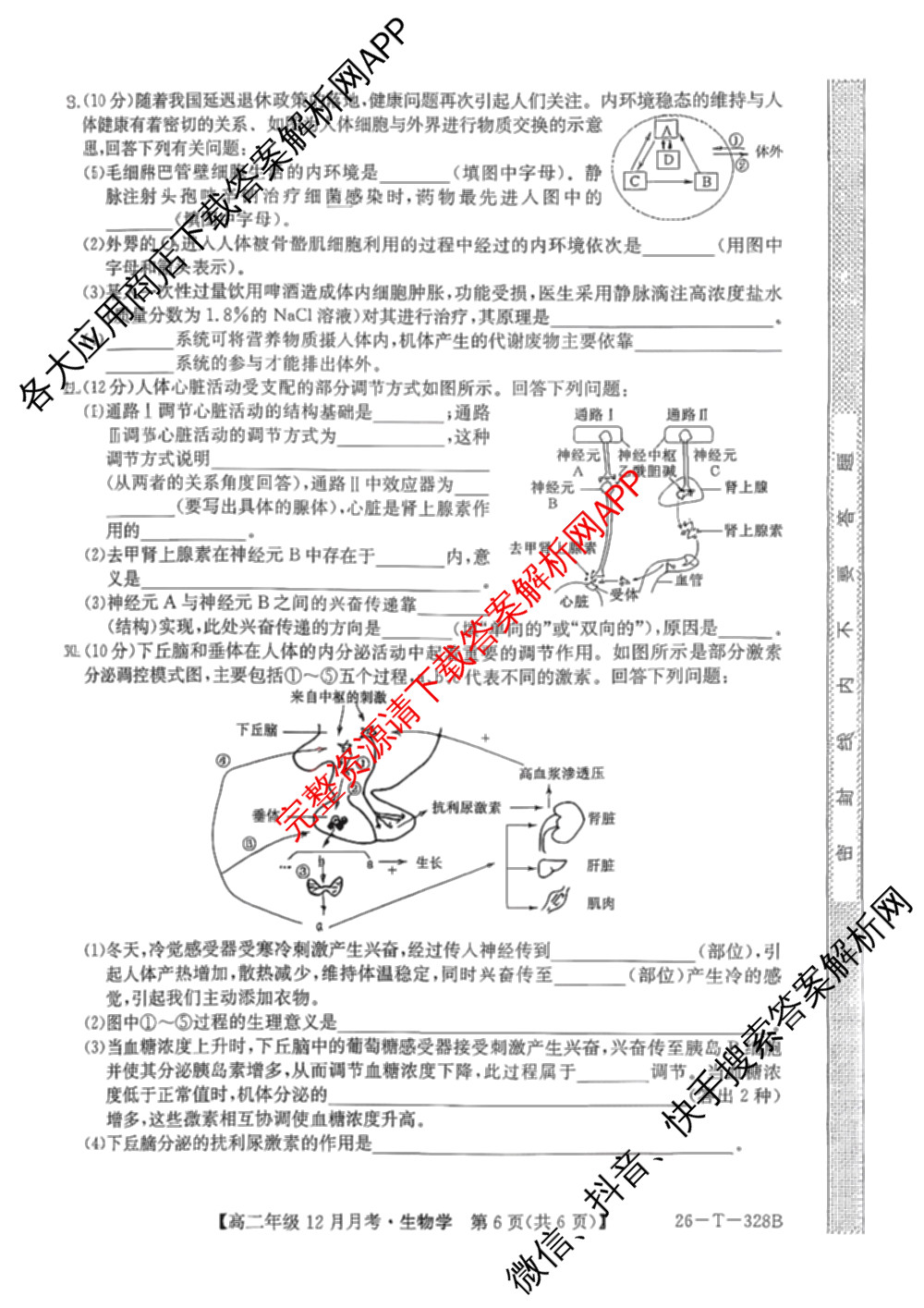 辽宁省2025~2026学年高二年级12月月考(26-T-328B)各科答案及试卷（含化学、语文、生物等）生物试题