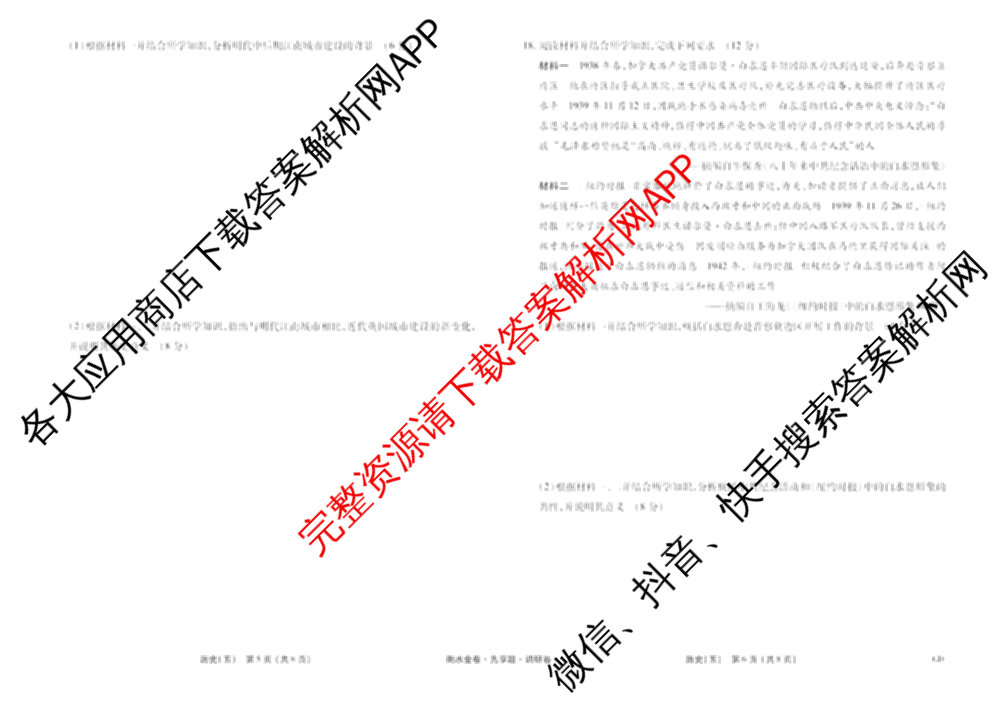 衡水金卷先享题调研卷2026年普通高等学校招生全国统一考试模拟试题(五)5各科答案及试卷（91科全）历史试题