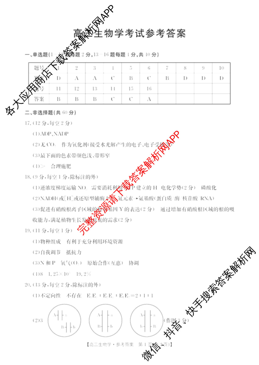 广西2026届高三10月考试(含生物、历史、化学等)生物答案 广西2026届高三10月考试(含生物、历史、化学等)生物答案
