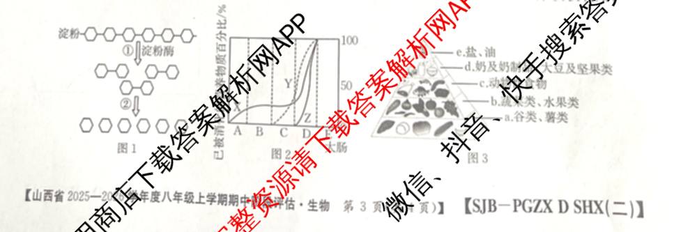 晋城市八年级上学期长标期中（含物理(R)、地理(XJB)、数学(HSD)等）生物试题