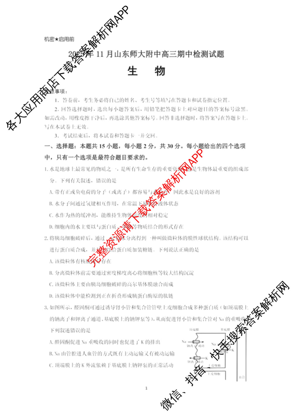 2025年11月山东师大附中高三期中检测（9科全）生物试题