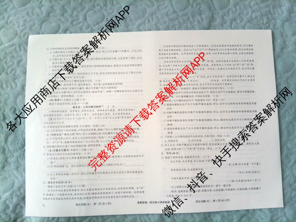衡水真题密卷2025-2026学年度综合能力调研检测(五)5(已更新化学(6)、物理(1)、语文(A)等19份)语文试题