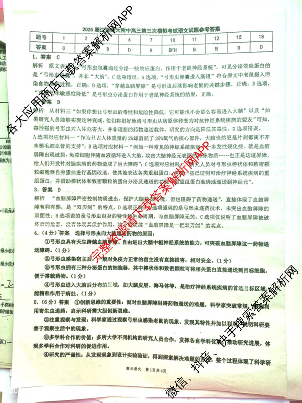 2025年江西师大附中高三三模(5.16)（含政治 英语 生物等9份）语文答案