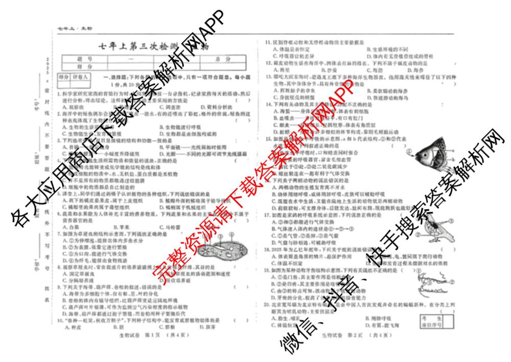 吉林省名校调研系列卷2025-2026学年七年上第三次检测(a)各科答案及试卷（7科全）生物试题