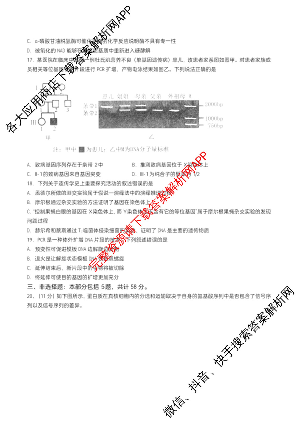 江苏省扬州市高邮市2025-2026学年第一学期高三10月学情调研测试2025.10(含语文 英语 历史等)生物试题 江苏省扬州市高邮市2025-2026学年第一学期高三10月学情调研测试2025.10(含语文 英语 历史等)生物试题