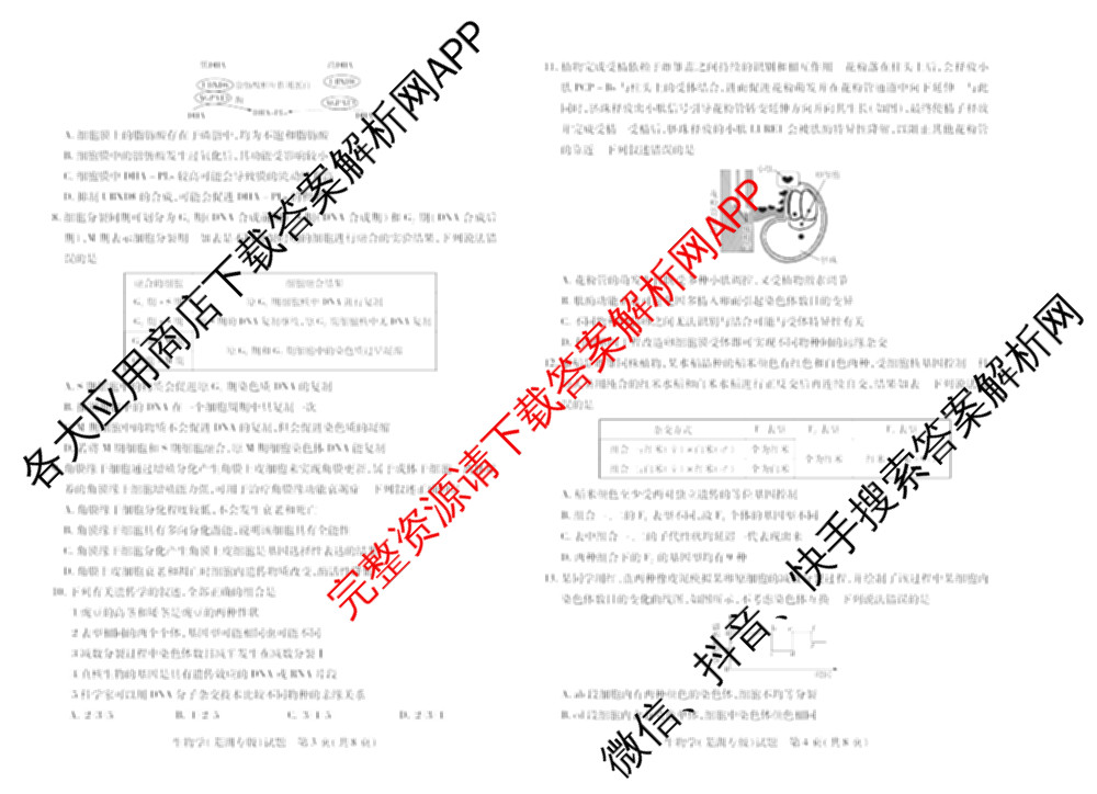 天一大联考安徽2026届高三期中联考(11月)(已更新物理(合肥专版)、历史(宿州专版)、政治等16份)生物试题