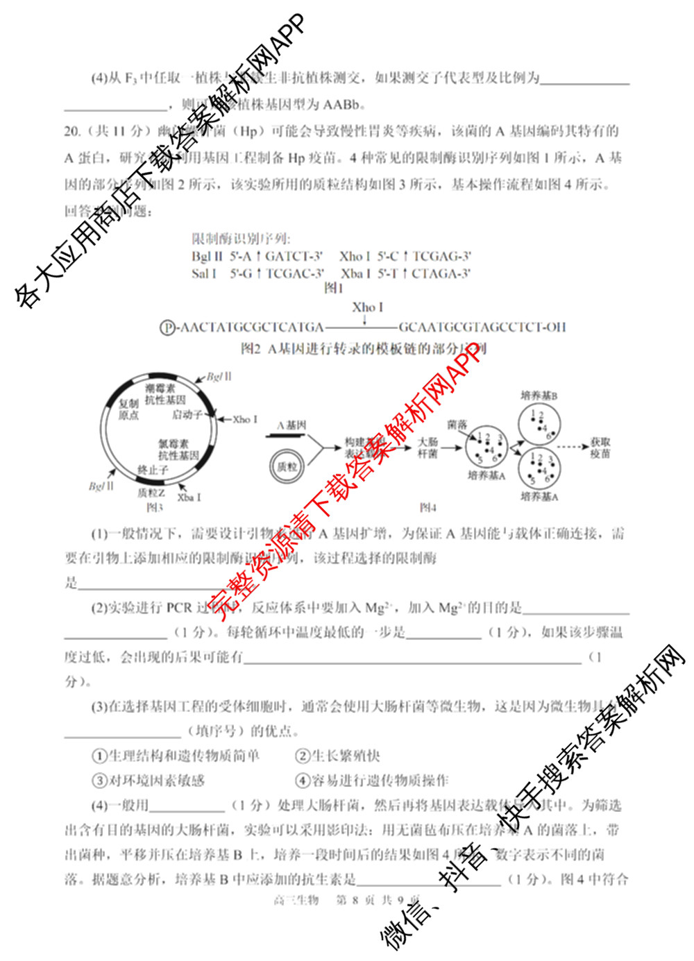 射洪中学高2023级高三上期期中考试试卷及答案汇总: 含地理 生物 英语试卷解析生物试题
