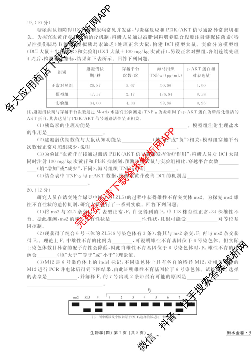 衡水金卷先享题调研卷2026年普通高等学校招生全国统一考试模拟试题(四)4(已更新生物(山东专版) 理综 历史(JS)等91份)生物试题