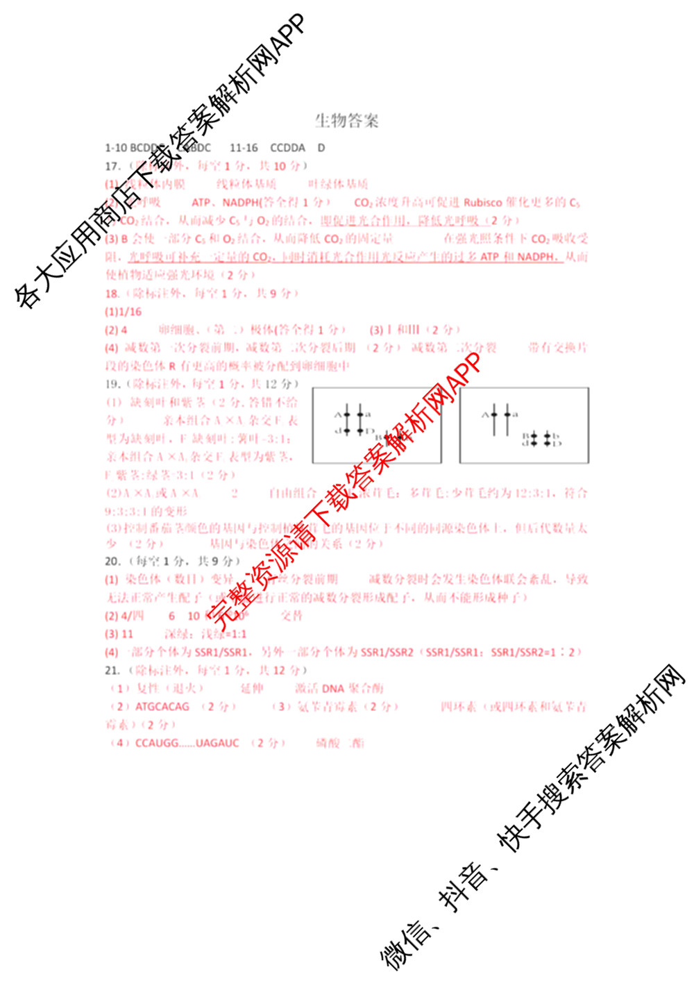 山西大学附中2025~2026学年第一学期高三10月模块诊断(总第五次)(含物理、历史、地理等9份)生物答案 山西大学附中2025~2026学年第一学期高三10月模块诊断(总第五次)(含物理、历史、地理等9份)生物答案