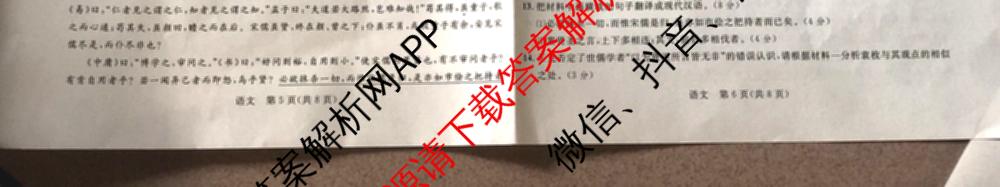 桂柳文化2025届高考桂柳鸿图模拟金卷(一)1试卷及答案汇总（含物理 语文 政治等）语文试题